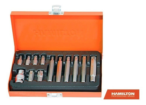 Hamilton Juego De Puntas Torx Encastre De 1/2 X 13 Pcs 1