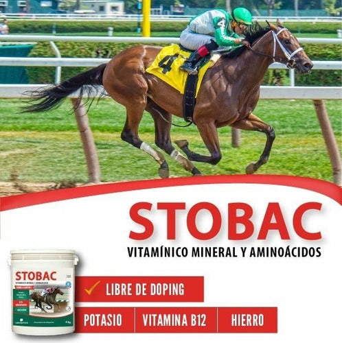 Laboquimica SRL Energy Plus 5 Lts + Stobac 1.2kg + Asesoramiento 1