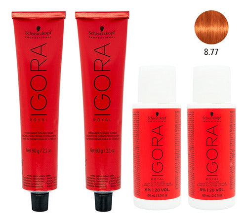 Schwarzkopf Igora Royal X2 Hair Dye 8.77 + 20 Vol Oxidant Kit 0