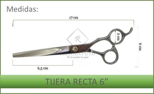 Professional Hairdressing Scissor Kit - Razor Cutting Thinning Set of 6 1