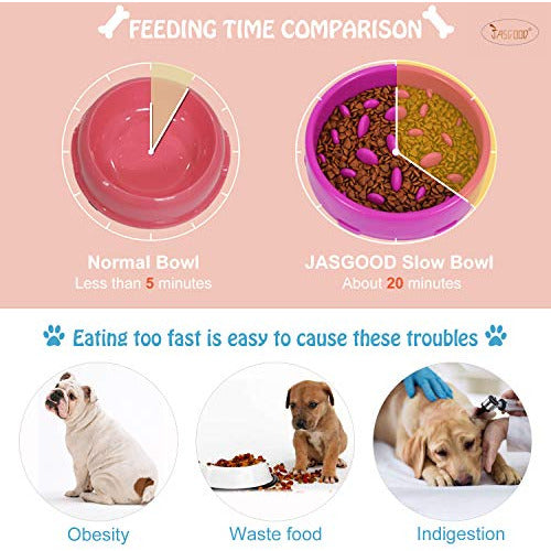 Jasgood Medium Slow Feeder Dog Bowl, Purple 1