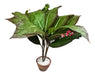 Loschi Artificial Plant Artificial Plants 5