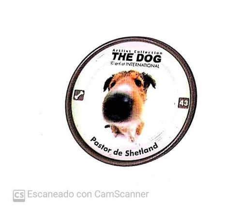 Chapitas Tazo - The Dog Pepsico   Pastor De Shetland - Galgo 0