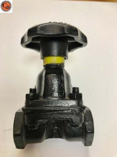 Saunders Diaphragm Operated 1/2 Inch Shut-Off Valve 0
