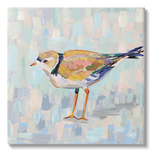 Stupell Industries Coastal Plover Abstract Patchwork Bird Ca 0