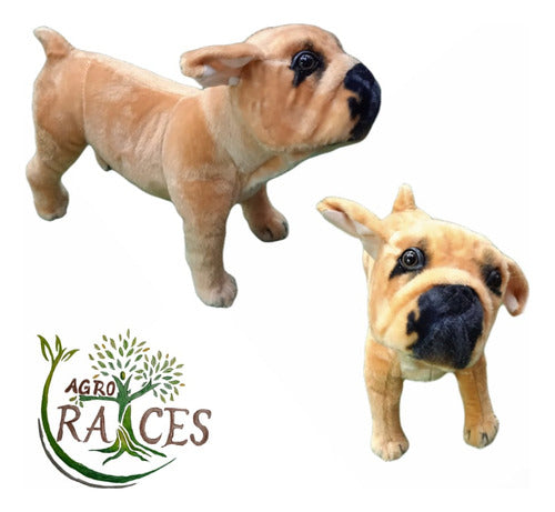 Numi Peluche Perro Bulldog / Realista 1