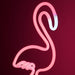 Amped & Co Neon Flamingo De Computadora Rosa 1