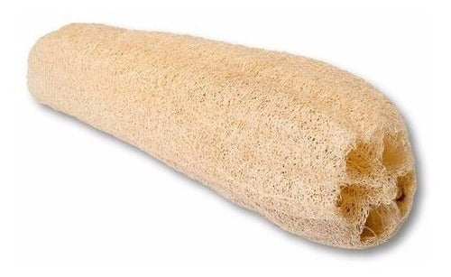 Holístico Natural Luffa Sponge Pack of 50 Units 0