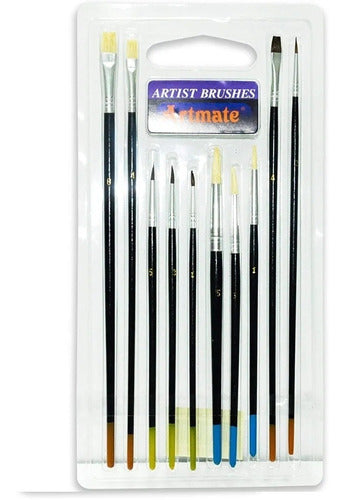 Set of 10 Assorted Round/Flat Paint Brushes in Plastic Case 0