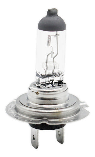 Versus Halogen Lamp H7 12V 55W 0