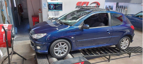 Chip De Potencia Peugeot 206xs 2