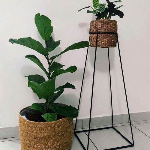 Iron Deco Plant Holder 0