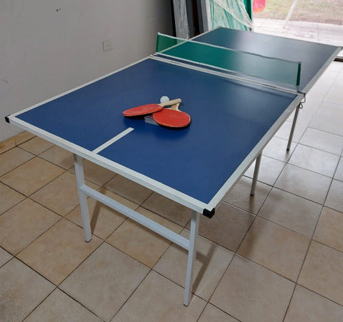 Generico Folding Ping-Pong Table 1