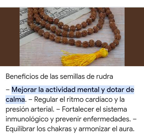 LeHaim Japa Mala (27 Cuentas). Semilla Rudraksha Y Sodalita Natural 5