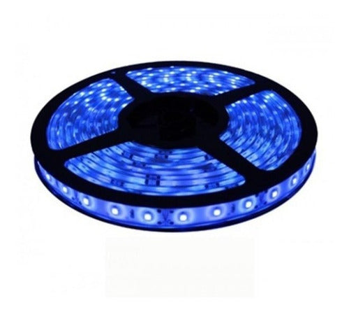 Silverled 5 Meter LED Strip with 220V Power Supply – White, Green, Blue or Red 3