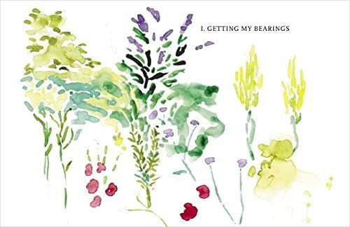Becoming A Gardener: A Journey of Discovery and Growth - Book : Becoming A Gardener What Reading And Digging Taught.