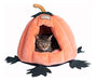 Cama Para Gatos Armarkat Modelo C85ccs Con Forma De Calabaza 0