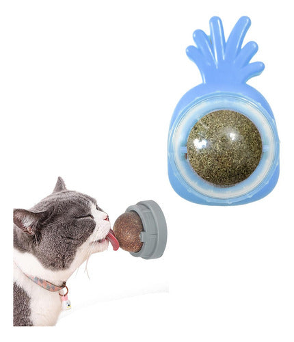 Interactive Cat Toy with Rotating Catnip for Wall 34