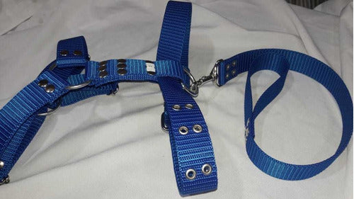 Reinforced Nato Harness for Large Breed Dogs with Leash 3