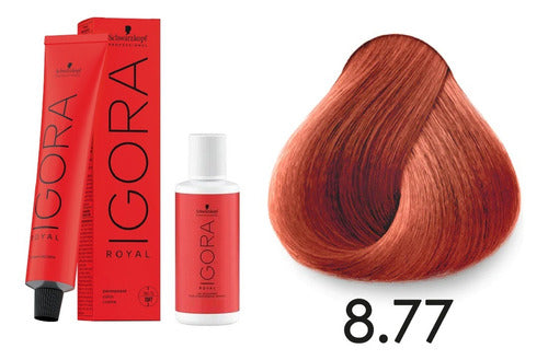 Schwarzkopf Professional Tintura Igora Royal 8.77 + Oxidante De 60ml 1