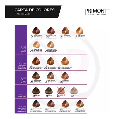 Primont 12 Tintururas Coloración Profesional 60g + Oxidante 2