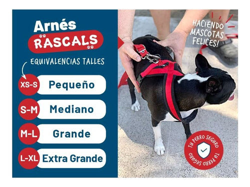 Padded Premium Large Dog Harness Rascals 39