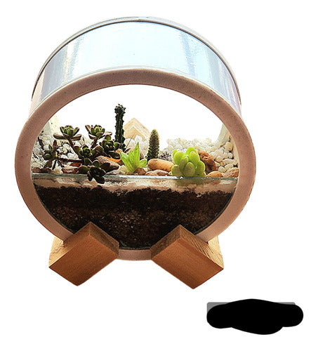 Terrario De Pared + Pie Nórdico 11cm Planta Suculenta Cactus 1