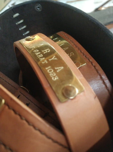 Leather Collars with Bronze Identification 1