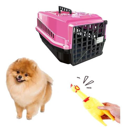 Brinquedo Galinha De Plastico Pet + Caixa Transporte N1 Rosa 0