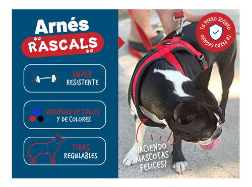Padded Premium Large Dog Harness Rascals 15