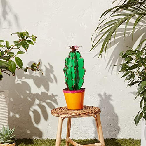 Cactus De Flecha Rústica En Maceta Con Arte De Jardín De Flo 4