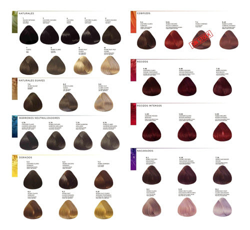 Coalix Pro 120g x 12 Cream Hair Dye Coloration Kit 2