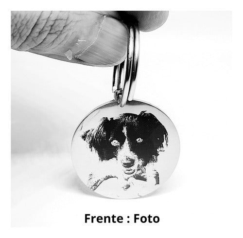 Pet ID Tag with Photo and QR Code 1