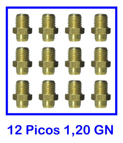 Orbis 12 Picos Inyectores Para Caldera Gas Natural 1