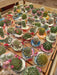 Set of 83 Ornamental Cactus Plants in 6cm Diameter Pot 1