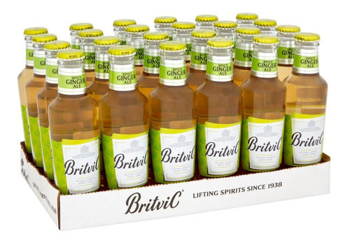 Britvic X12 Un Reinounido Agua Tonica Ginger Ale Ginger Beer 0