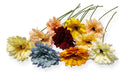 PACHOS Regalaria Wildflower Stem Bouquet Artificial Deco X6 Wholesale 2