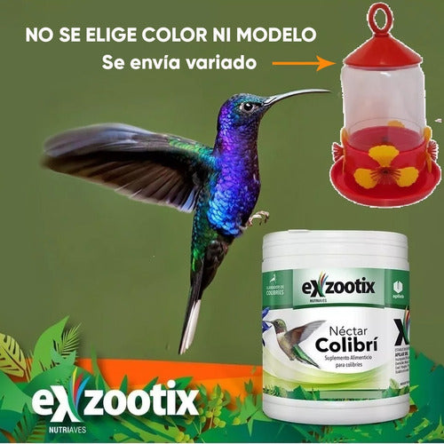 Exzootix Colibri Nectar and Feeder Kit 2