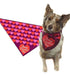 Dia De San Valentin Perro Bandana Medio A Grande Perros Fe 0