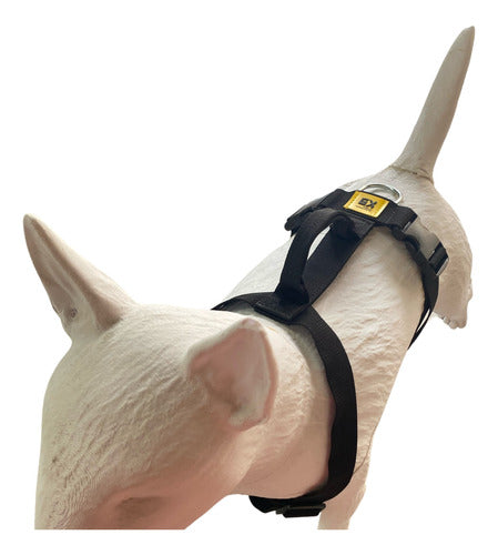 Reinforced Tactical H Harness Anti-Pull Safety K9 9