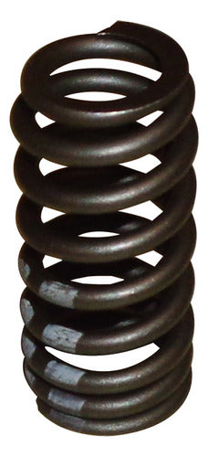 Valve Spring Fox-Suran -CWS-Nivus - I10282 0