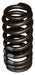 Valve Spring Fox-Suran -CWS-Nivus - I10282 0