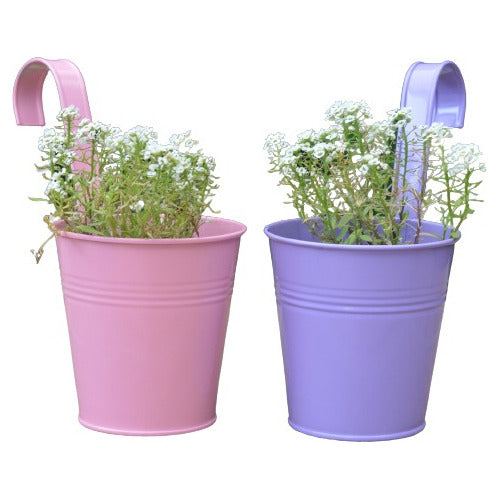 Plantaspaty Metal Bucket in Colors for Hanging 1