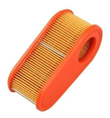 Briggs & Stratton Filtro De Aire 795066 2