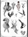 Animales Vintage #01! Transfer Sheet 21 X 29 Cm 0