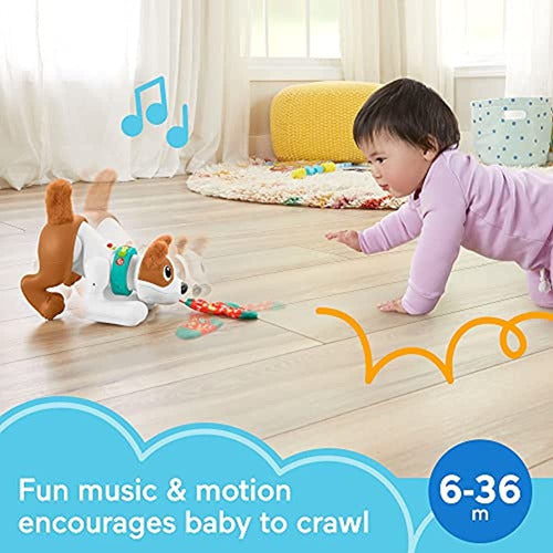 Fisher-price 123 Crawl With Me Puppy, Juguete Electrónico Pa 1