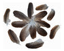 Pack of Black and Light Brown Natural Feathers 0