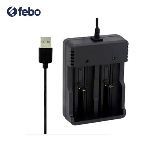 Cargador Usb Universal Pilas Aa Aaa Bateria Recargables Febo 2