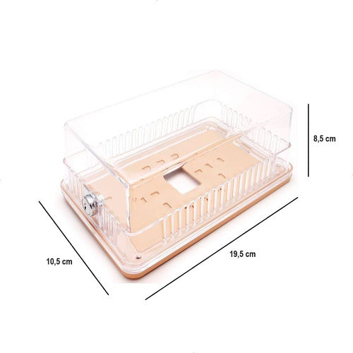 Caja Protectora Termostato Transparente C/ Llave 1