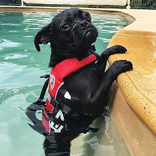 EzyDog Micro Doggy Flotation Device DFD 3